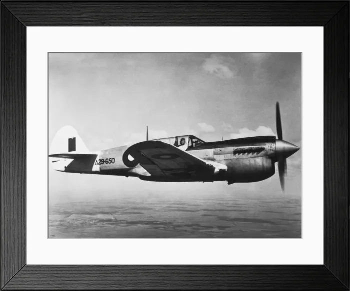 Framed Print : Curtiss P-40 Warhawk Framed Print : Curtiss P-40 Warhawk