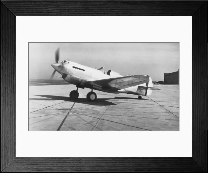 Framed Print : Curtiss P-40 Warhawk Framed Print : Curtiss P-40 Warhawk