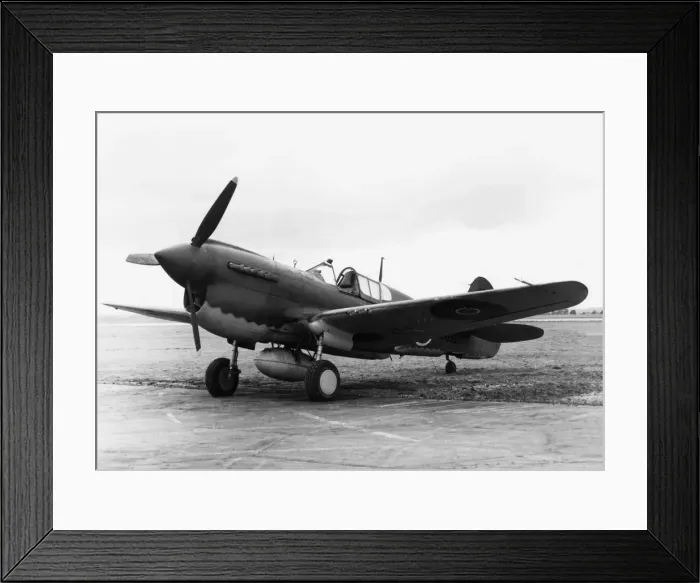 Framed Print : Curtiss P-40 Warhawk Framed Print : Curtiss P-40 Warhawk