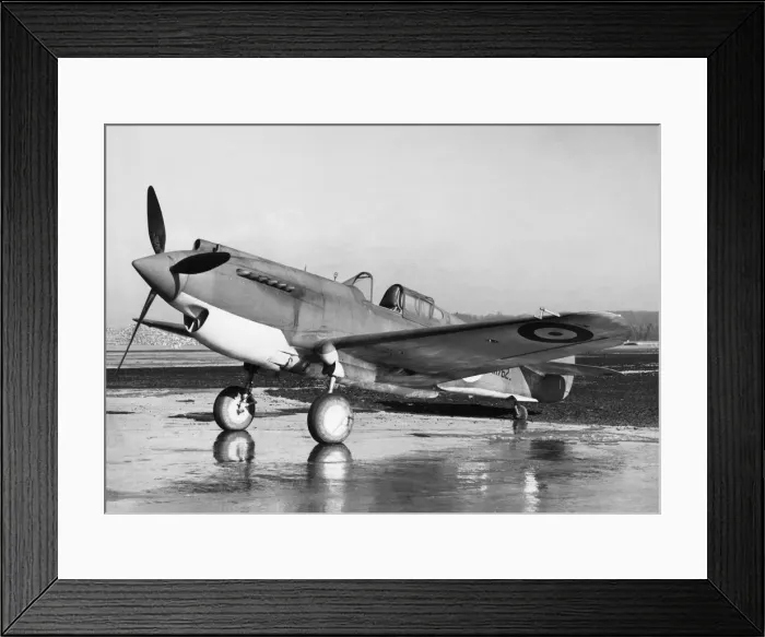 Framed Print : Curtiss P-40 Warhawk Framed Print : Curtiss P-40 Warhawk