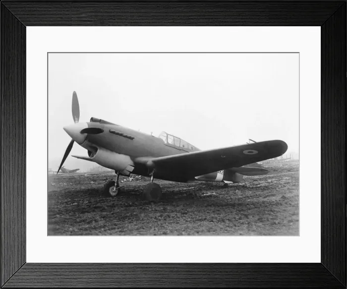 Framed Print : Curtiss P-40 Warhawk Framed Print : Curtiss P-40 Warhawk