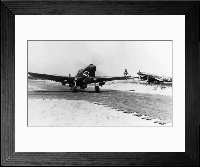 Framed Print : Curtiss P-40 Warhawk Framed Print : Curtiss P-40 Warhawk