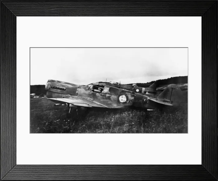 Framed Print : Curtiss P-40 Warhawk Framed Print : Curtiss P-40 Warhawk