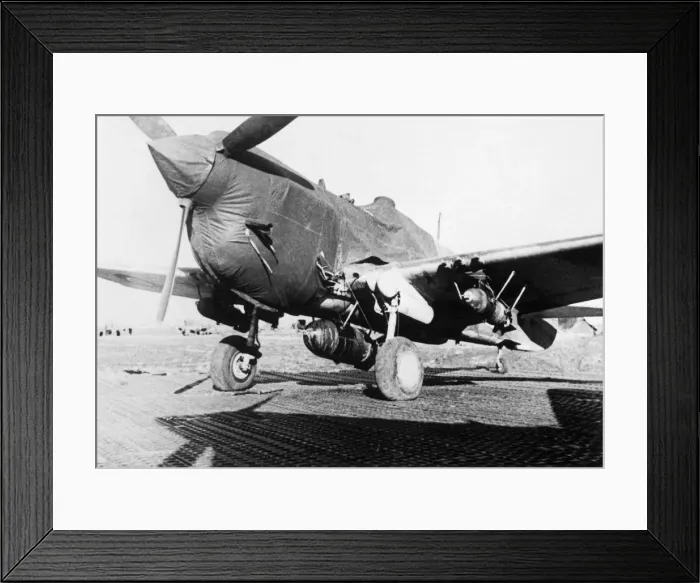 Framed Print : Curtiss P-40 Warhawk Framed Print : Curtiss P-40 Warhawk