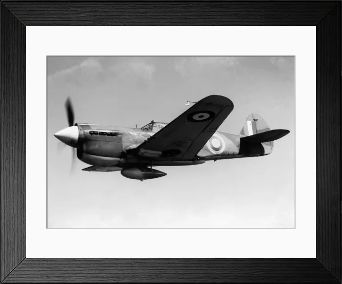 Framed Print : Curtiss P-40 Warhawk Framed Print : Curtiss P-40 Warhawk