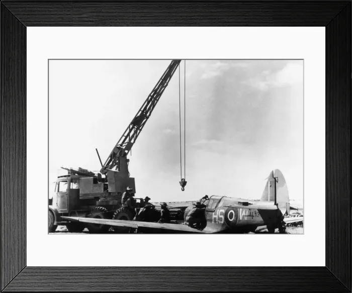 Framed Print : Curtiss P-40 Warhawk Framed Print : Curtiss P-40 Warhawk