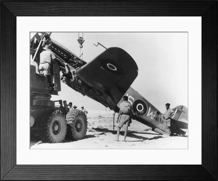 Framed Print : Curtiss P-40 Warhawk Framed Print : Curtiss P-40 Warhawk