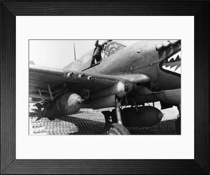Framed Print : Curtiss P-40 Warhawk Framed Print : Curtiss P-40 Warhawk