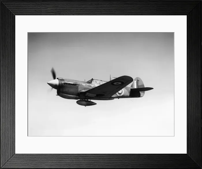 Framed Print : Curtiss P-40 Warhawk Framed Print : Curtiss P-40 Warhawk