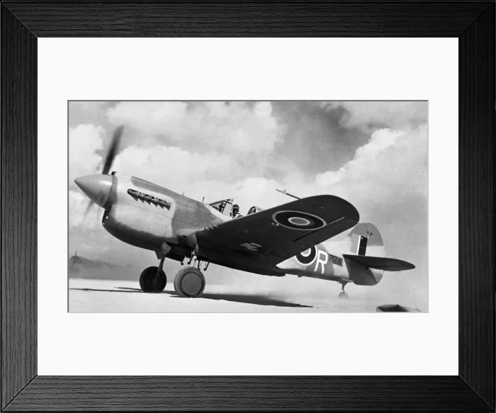 Framed Print : Curtiss P-40 Warhawk Framed Print : Curtiss P-40 Warhawk
