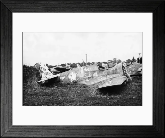 Framed Print : Curtiss P-40 Warhawk Framed Print : Curtiss P-40 Warhawk