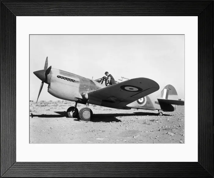 Framed Print : Curtiss P-40 Warhawk Framed Print : Curtiss P-40 Warhawk
