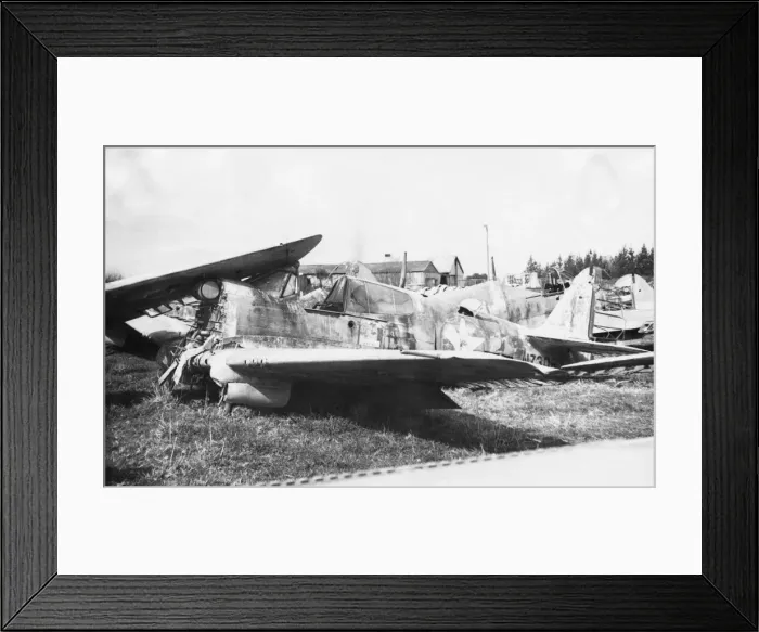 Framed Print : Curtiss P-40 Warhawk Framed Print : Curtiss P-40 Warhawk