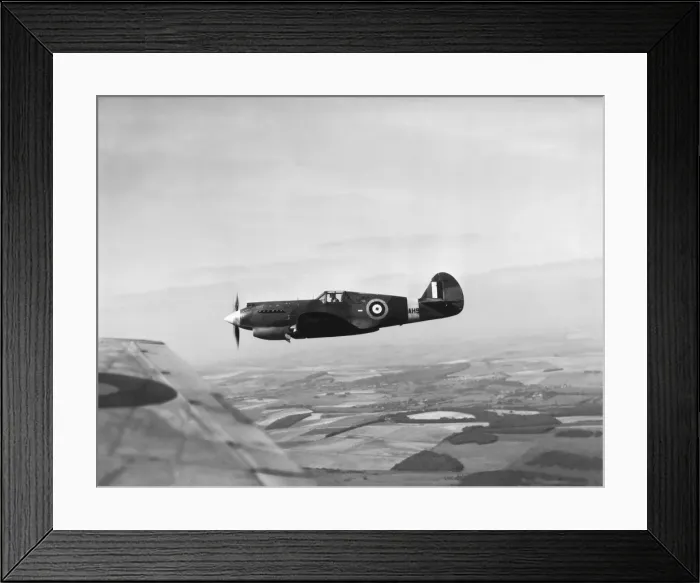 Framed Print : Curtiss P-40 Warhawk Framed Print : Curtiss P-40 Warhawk
