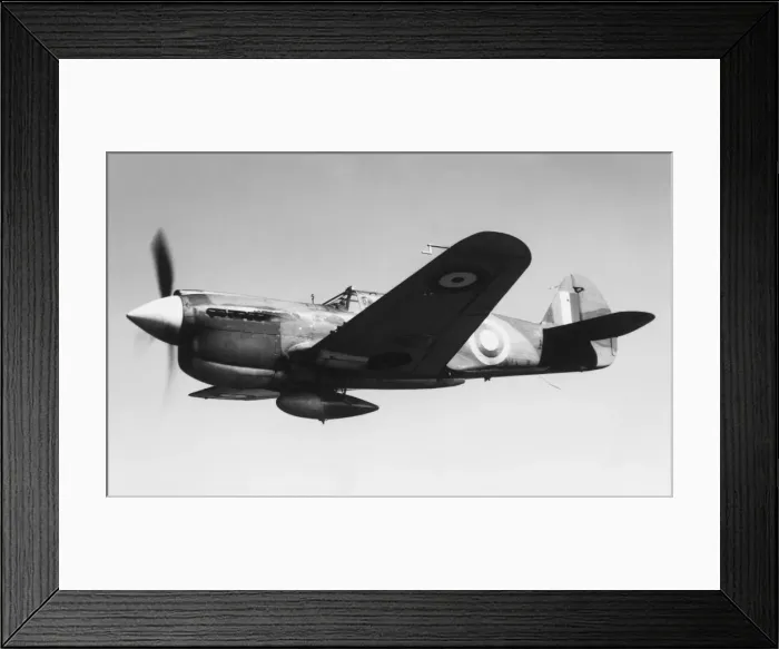 Framed Print : Curtiss P-40 Warhawk Framed Print : Curtiss P-40 Warhawk