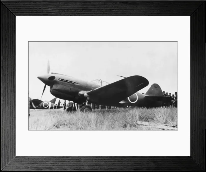 Framed Print : Curtiss P-40 Warhawk Framed Print : Curtiss P-40 Warhawk