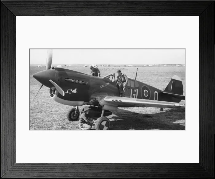 Framed Print : Curtiss P-40 Warhawk Framed Print : Curtiss P-40 Warhawk