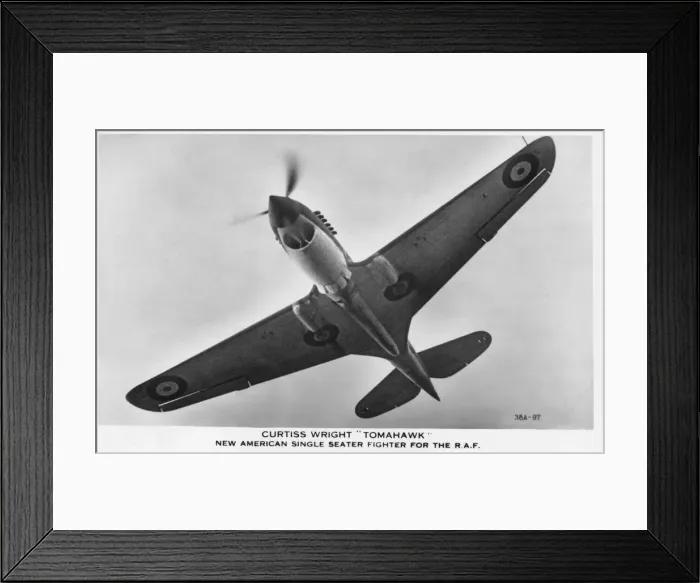 Framed Print : Curtiss P-40 Warhawk Framed Print : Curtiss P-40 Warhawk