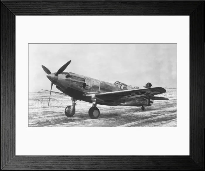 Framed Print : Curtiss P-40 Warhawk Framed Print : Curtiss P-40 Warhawk