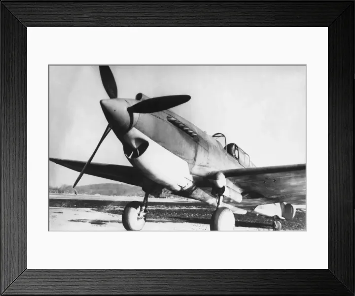 Framed Print : Curtiss P-40 Warhawk Framed Print : Curtiss P-40 Warhawk