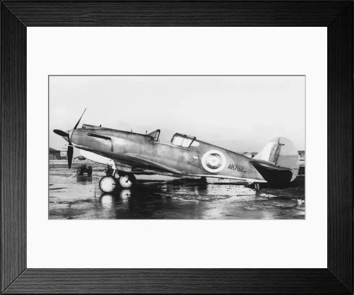 Framed Print : Curtiss P-40 Warhawk Framed Print : Curtiss P-40 Warhawk