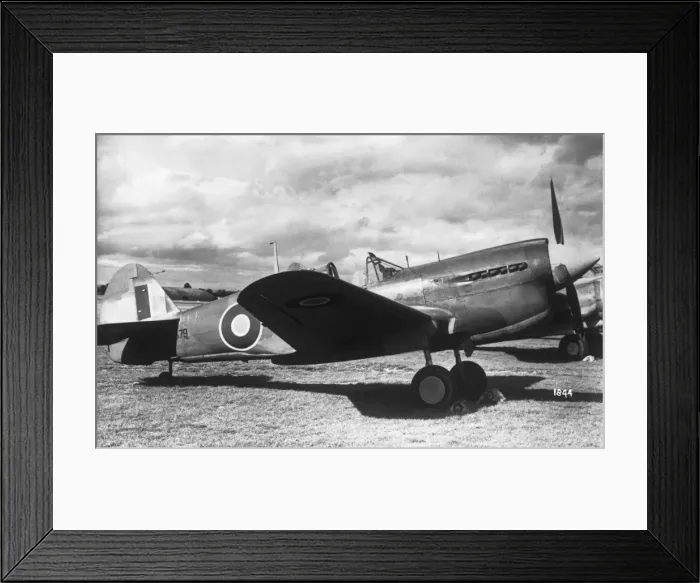 Framed Print : Curtiss P-40 Warhawk Framed Print : Curtiss P-40 Warhawk