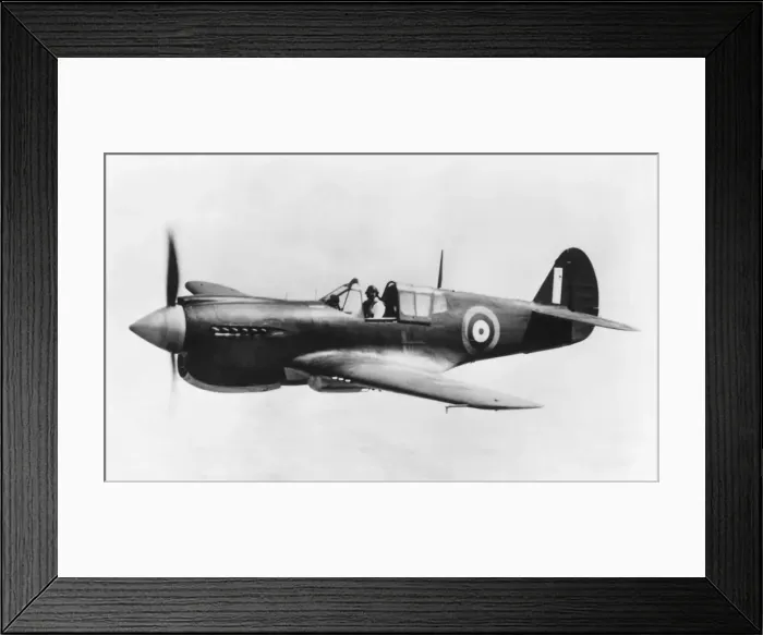 Framed Print : Curtiss P-40 Warhawk Framed Print : Curtiss P-40 Warhawk