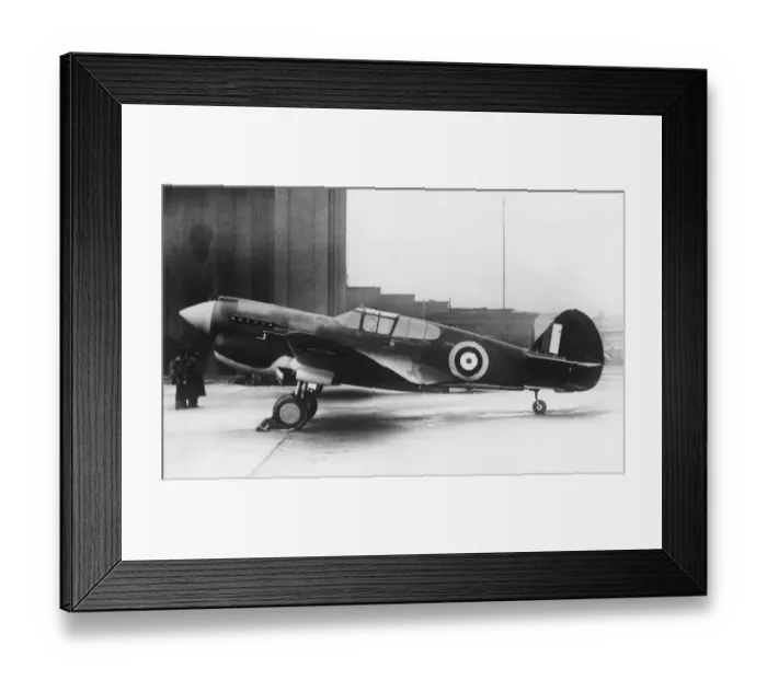 Framed Print : Curtiss P-40 Warhawk Framed Print : Curtiss P-40 Warhawk