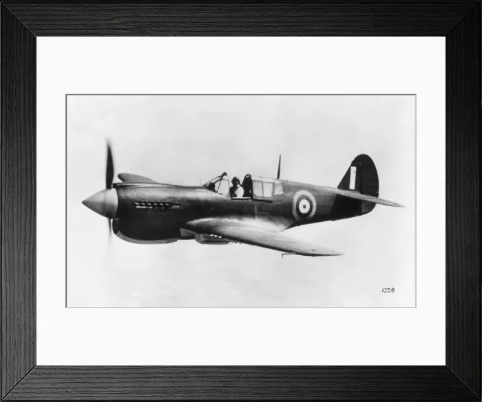 Framed Print : Curtiss P-40 Warhawk Framed Print : Curtiss P-40 Warhawk