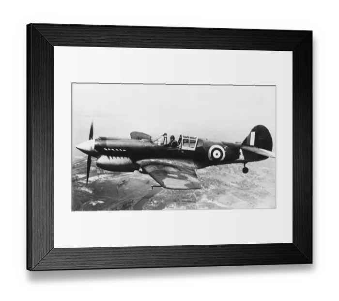 Framed Print : Curtiss P-40 Warhawk Framed Print : Curtiss P-40 Warhawk