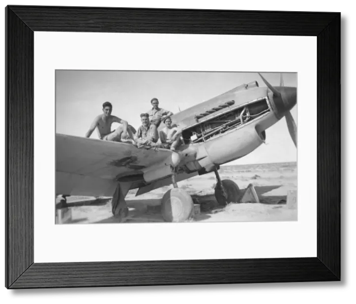 Framed Print : Curtiss P-40 Warhawk Framed Print : Curtiss P-40 Warhawk
