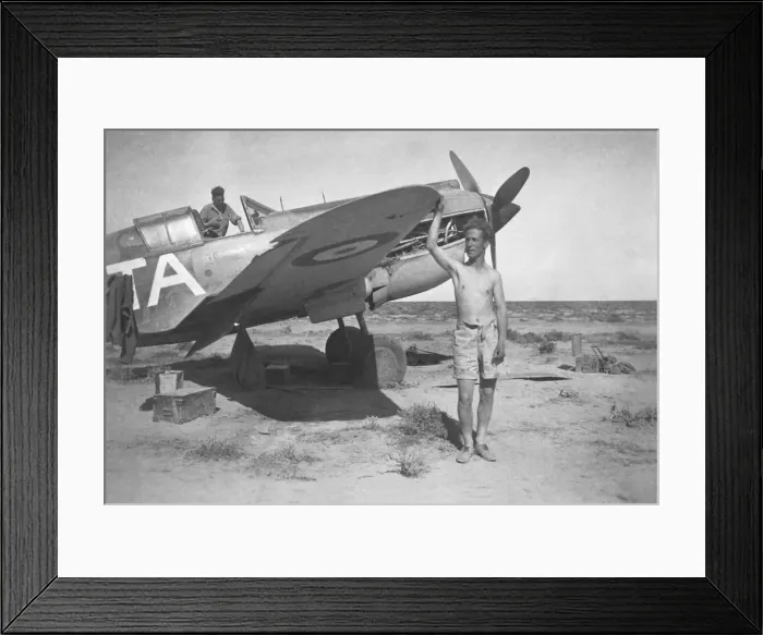 Framed Print : Curtiss P-40 Warhawk Framed Print : Curtiss P-40 Warhawk