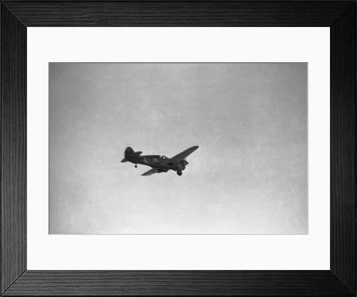 Framed Print : Curtiss P-40 Warhawk Framed Print : Curtiss P-40 Warhawk