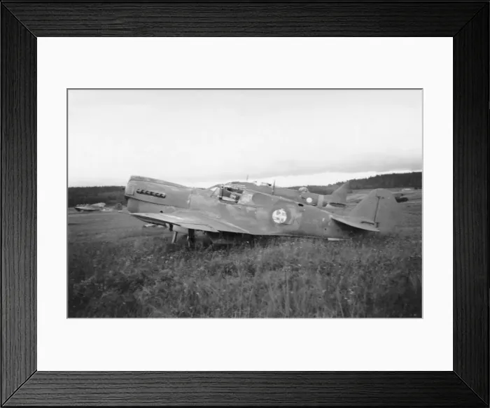 Framed Print : Curtiss P-40 Warhawk Framed Print : Curtiss P-40 Warhawk