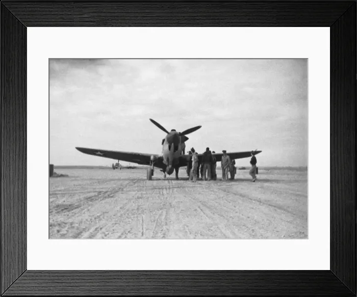 Framed Print : Curtiss P-40 Warhawk Framed Print : Curtiss P-40 Warhawk