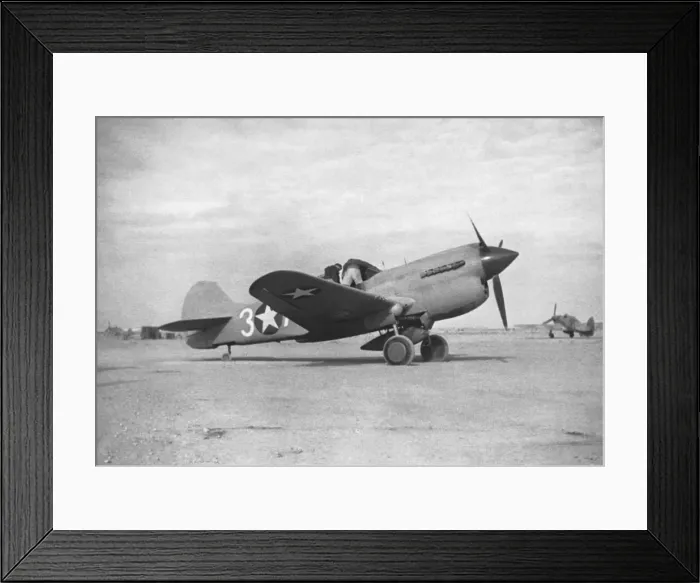 Framed Print : Curtiss P-40 Warhawk Framed Print : Curtiss P-40 Warhawk