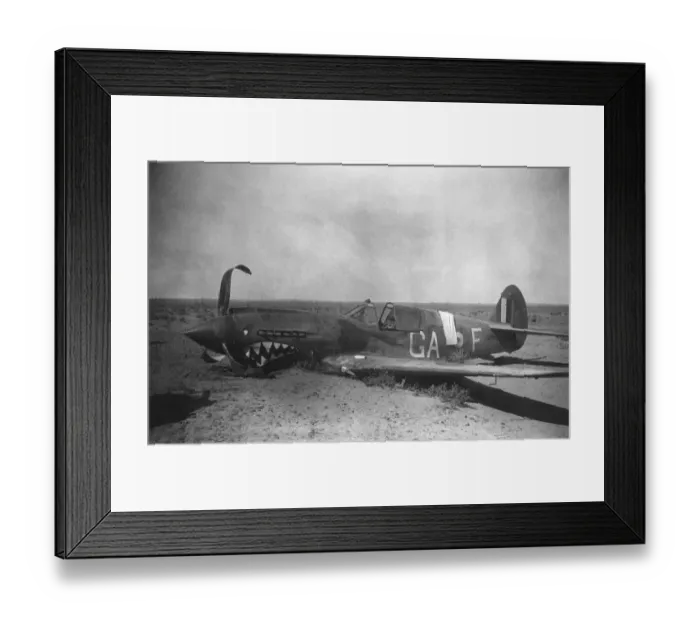 Framed Print : Curtiss P-40 Warhawk Framed Print : Curtiss P-40 Warhawk