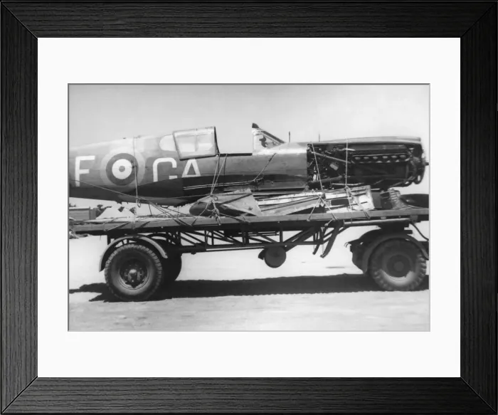 Framed Print : Curtiss P-40 Warhawk Framed Print : Curtiss P-40 Warhawk