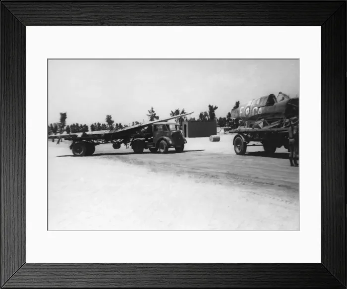 Framed Print : Curtiss P-40 Warhawk Framed Print : Curtiss P-40 Warhawk