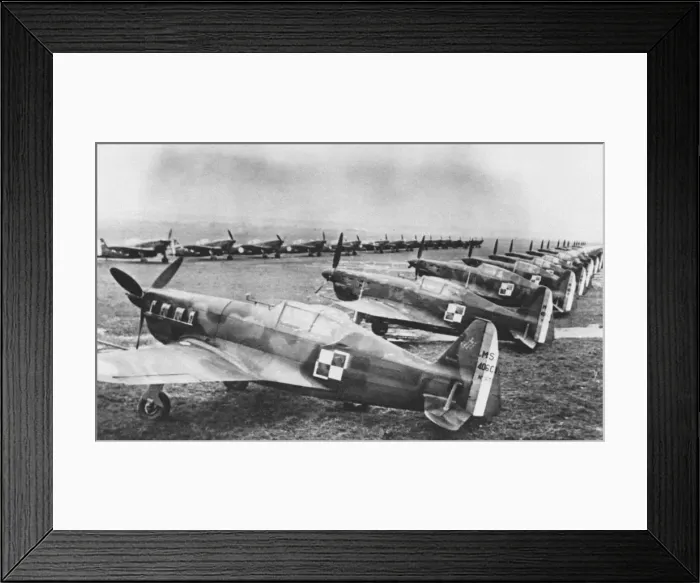 Framed Print : Morane-Saulnier MS-406C1 Framed Print : Morane-Saulnier MS-406C1