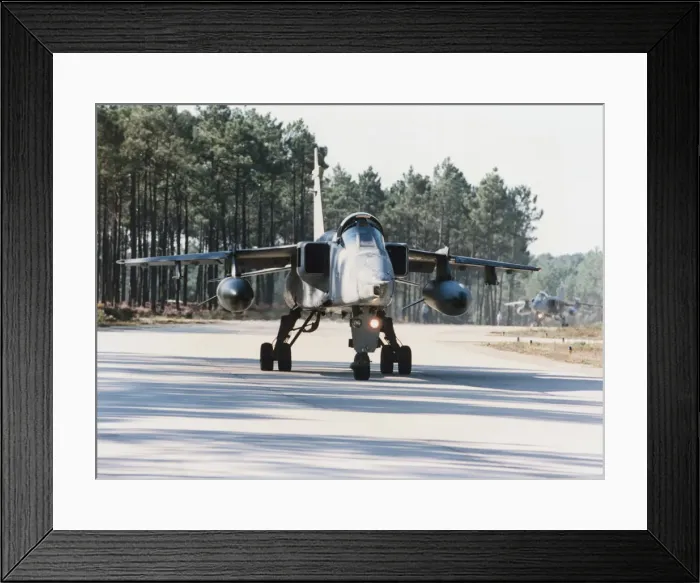Framed Print : SEPECAT Jaguar Framed Print : SEPECAT Jaguar