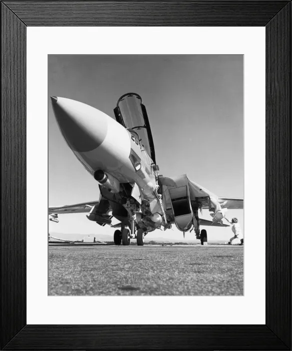Framed Print : Grumman G-303 F-14 Tomcat Framed Print : Grumman G-303 F-14 Tomcat