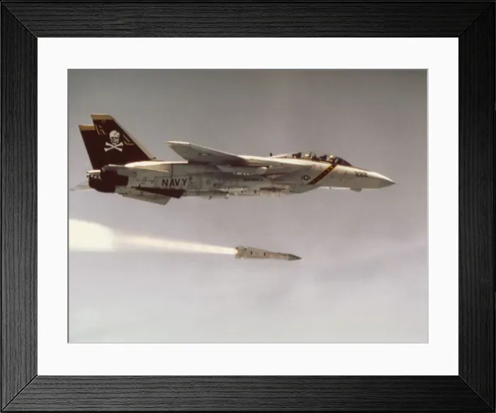 Framed Print : Grumman G-303 F-14A Tomcat Framed Print : Grumman G-303 F-14A Tomcat