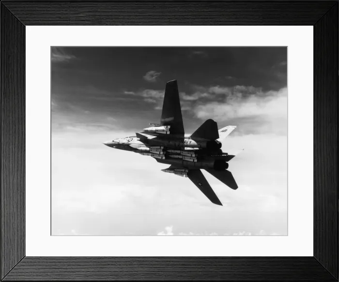 Framed Print : Grumman G-303 F-14 Tomcat Framed Print : Grumman G-303 F-14 Tomcat