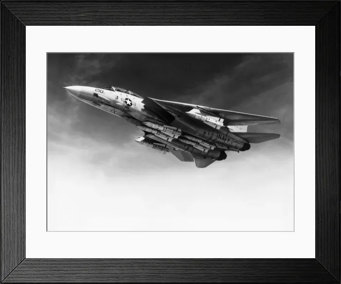 Framed Print : Grumman G-303 F-14 Tomcat Framed Print : Grumman G-303 F-14 Tomcat
