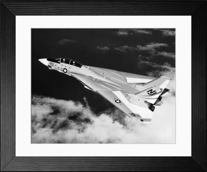 Framed Print : Grumman G-303 F-14 Tomcat Framed Print : Grumman G-303 F-14 Tomcat