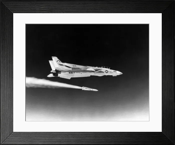 Framed Print : Grumman G-303 F-14A Tomcat Framed Print : Grumman G-303 F-14A Tomcat