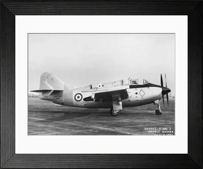 Framed Print : Fairey Gannet Framed Print : Fairey Gannet