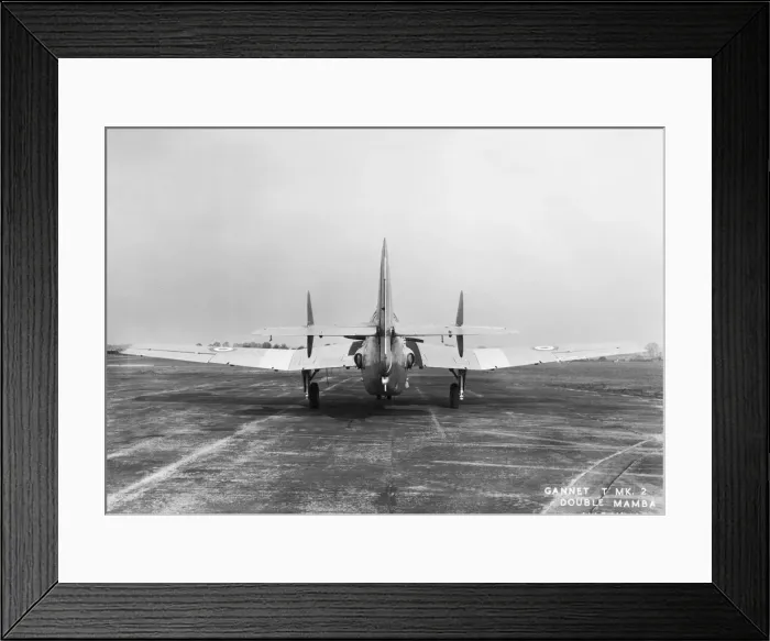 Framed Print : Fairey Gannet Framed Print : Fairey Gannet