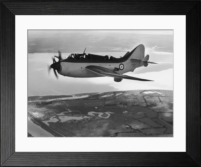 Framed Print : Fairey Gannet Framed Print : Fairey Gannet